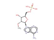 2'-O-METHYL-ADENOSINE-5'-MONOPHOSPHATE