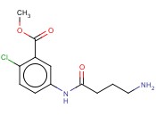 METHYL 5-(4-AMINOBUTANAMIDO)-<span class='lighter'>2-CHLOROBENZOATE</span>