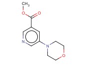 METHYL 5-MORPHOLINONICOTINATE