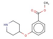 METHYL 3-(4-PIPERIDINYLOXY)BENZOATE