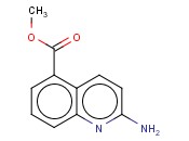 2-AMINO-QUINOLINE-5-CARBOXYLIC ACID METHYL ESTER