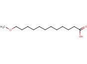 12-METHOXYDODECANOIC ACID