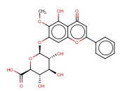 千层纸素A-7-0-β-D-葡萄糖醛酸苷