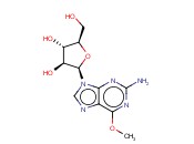 Nelarabine