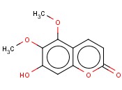 UMCKALIN