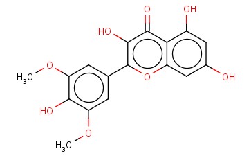 <span class='lighter'>丁香</span>亭