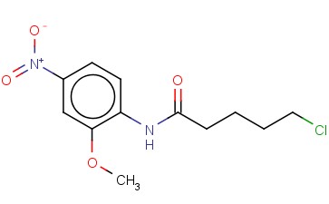 5-CHLORO-N-(2-METHOXY-4-NITROPHENYL)PENTANAMIDE