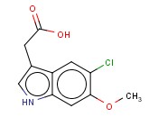 5-CHLORO-6-<span class='lighter'>METHOXYINDOLE</span>-3-ACETIC ACID