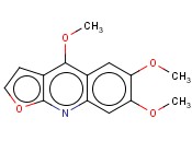 KOKUSAGININE