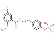 P-[2-[(5-CHLORO-2-METHOXYBENZOYL)AMINO]ETHYL]BENZENEPHOSPHONATE