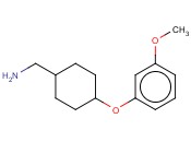 (4-(3-METHOXYPHENOXY)CYCLOHEXYL)METHANAMINE