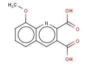 8-METHOXYQUINOLINE-2,3-DICARBOXYLIC ACID