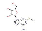 2-METHYLTHIOADENOSINE