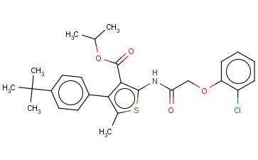 PROPAN-2-YL 4-(4-TERT-BUTYLPHENYL)-2-[[2-(2-CHLOROPHENOXY)ACETYL]AMINO]-5-METHYLTHIOPHENE-3-CARBOXYLATE