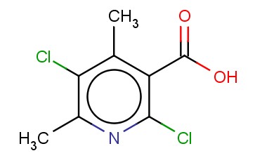 2,5-二<span class='lighter'>氯</span>-4,6-二甲基<span class='lighter'>烟酸</span>