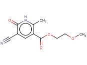 BUTTPARK 17\<span class='lighter'>04</span>-62