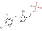 盐酸硫胺素<span class='lighter'>一</span>磷酸盐氯化物