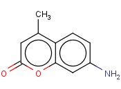 7-氨基-4-甲基香豆素[用于高效液相色谱标记]