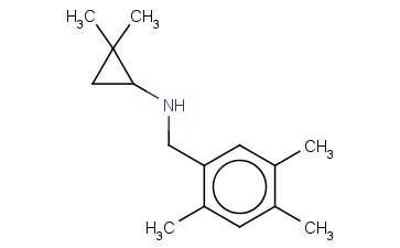 2,2-DIMETHYL-N-[(2,4,5-TRIMETHYLPHENYL)METHYL]CYCLOPROPAN-1-AMINE