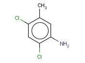 2,4-DICHLORO-5-METHYLANILINE