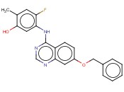 ZM323881