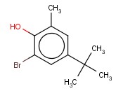 2-BROMO-4-TERT-BUTYL-6-METHYL-PHENOL