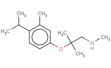 METHYL((2-METHYL-2-[3-METHYL-4-(PROPAN-2-YL)PHENOXY]PROPYL))AMINE