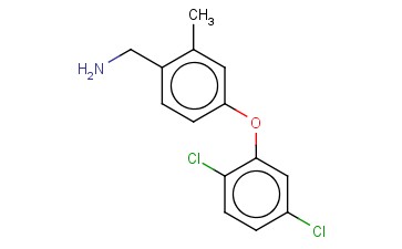 [4-(2,5-DICHLOROPHENOXY)-2-METHYLPHENYL]METHANAMINE