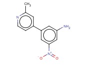 3-(2-METHYLPYRIDIN-4-YL)-5-NITROBENZENAMINE