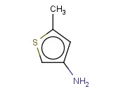 5-Methylthiophen-3-amine