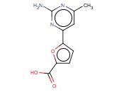 5-(2-AMINO-6-METHYL-4-PYRIMIDINYL)-<span class='lighter'>2-FUROIC</span> ACID