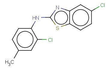 5-CHLORO-N-(2-CHLORO-4-METHYLPHENYL)-1,3-BENZOTHIAZOL-2-AMINE