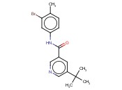 N-(3-BROMO-4-METHYLPHENYL)-5-TERT-BUTYLNICOTINAMIDE