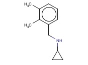 N-(2,3-二甲基苄基)<span class='lighter'>环</span><span class='lighter'>丙</span><span class='lighter'>胺</span><span class='lighter'>盐酸盐</span>