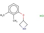 3-(2,3-DIMETHYLPHENOXY)AZETIDINE HYDROCHLORIDE