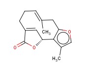 钓樟内酯