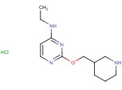N-Ethyl-2-(piperidin-3-ylmethoxy)pyrimidin-4-amine hydrochloride