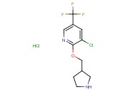 3-Chloro-2-(pyrrolidin-3-ylmethoxy)-5-(trifluoromethyl)pyridine hydrochloride