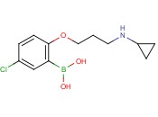 5-chloro-2-(3-(cyclopropylamino)propoxy)phenylboronic acid