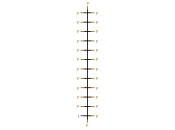全<span class='lighter'>氟</span>十二烷基<span class='lighter'>碘</span>