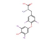<span class='lighter'>L-</span>[3',5'-125I]THYROXINE