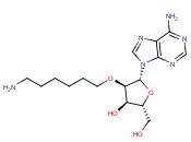 2'-O-(6-<span class='lighter'>aminohexyl</span>)adenosine