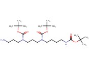 <span class='lighter'>tert</span>-butyl (3-((3-<span class='lighter'>amino</span>propyl)(<span class='lighter'>tert-butoxycarbonyl</span>)<span class='lighter'>amino</span>)propyl)(4-((<span class='lighter'>tert-butoxycarbonyl</span>)<span class='lighter'>amino</span>