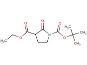 1-TERT-BUTYL 3-ETHYL 2-<span class='lighter'>OXOPYRROLIDINE</span>-1,3-DICARBOXYLATE