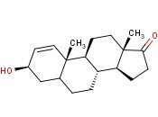 1-DHEA