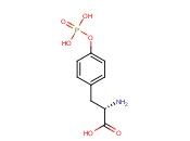 O-Phospho-L-tyrosine