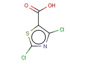 2,4-二氯-5-噻唑羧酸