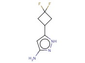 5-(3,3-DIFLUOROCYCLOBUTYL)-2H-PYRAZOL-3-YLAMINE