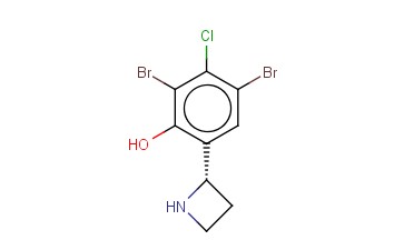 6-((2S)AZETIDIN-2-YL)-2,4-DIBROMO-3-CHLOROPHENOL