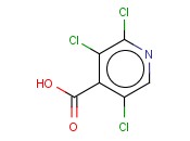 2,3,5-三<span class='lighter'>氯</span><span class='lighter'>吡啶</span>-4-<span class='lighter'>甲酸</span>